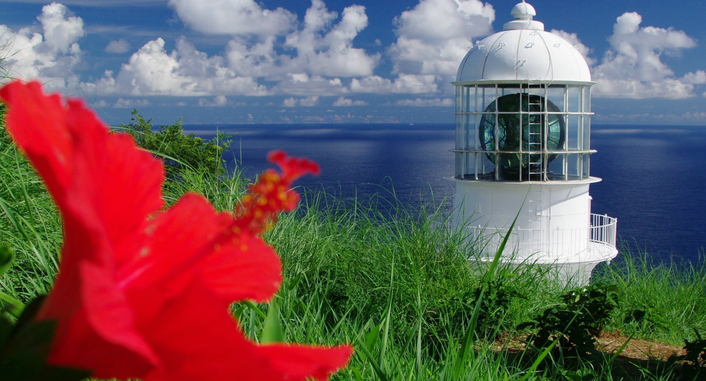 室戸岬灯台ハイビスカス